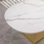 Table basse avec plateau en céramique et base contemporaine en acier inoxydable, une pièce maîtresse durable et élégante pour le salon.